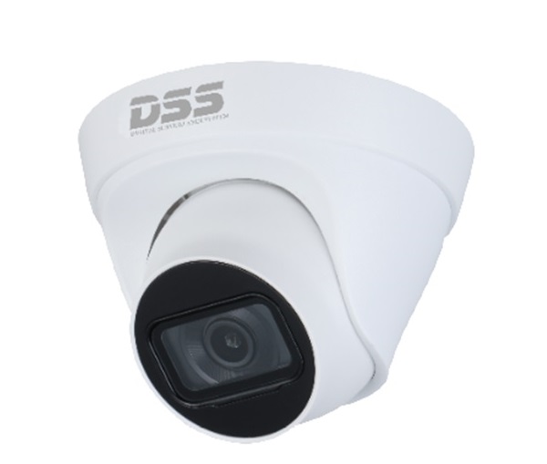 Camera IP 4MPDS2431TDIP-S2